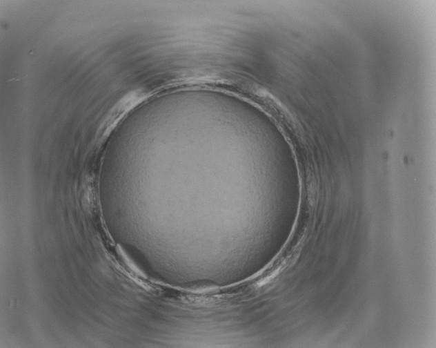 X0000072961361200608111640