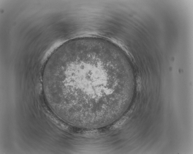 X0000072961363200608111640