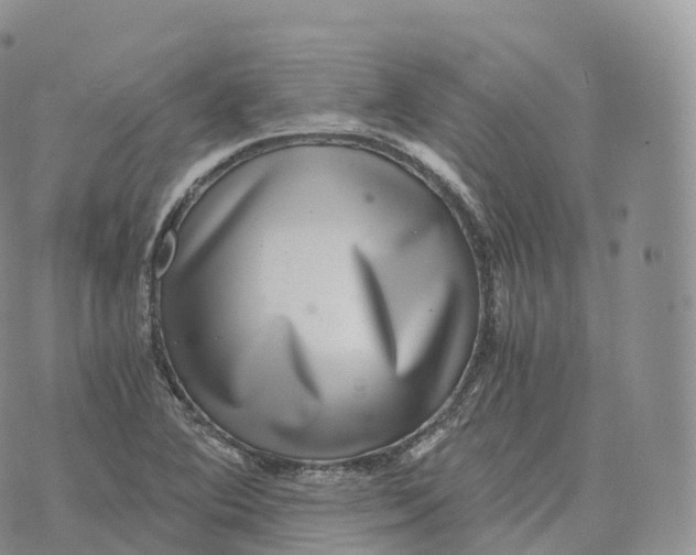 X0000072961364200608111640