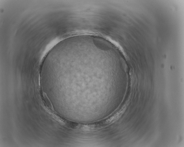 X0000072961365200608111640