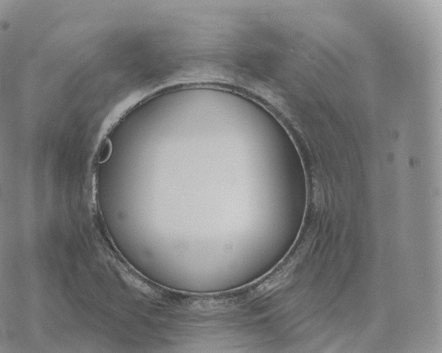 X0000072961366200608111640