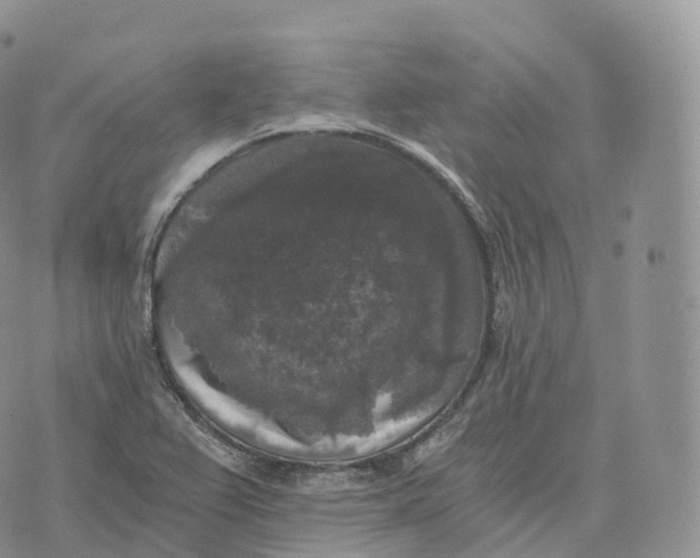 X0000072961367200608111640