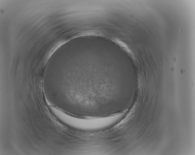 X0000072961369200608111640