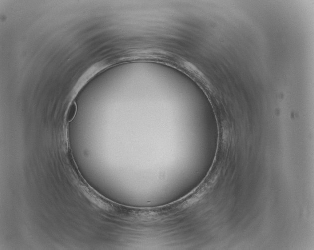 X0000072961370200608111640