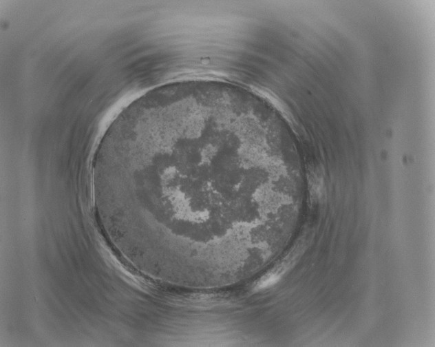 X0000072961371200608111640