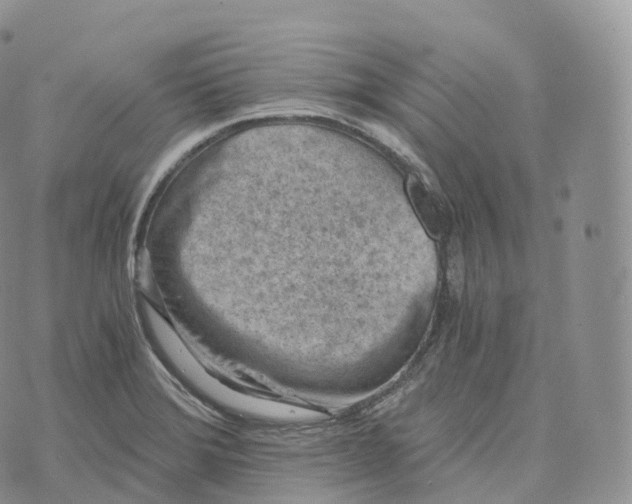 X0000072961372200608111640