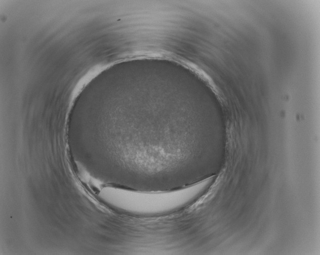 X0000072961373200608111640