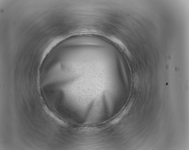 X0000072961374200608111640