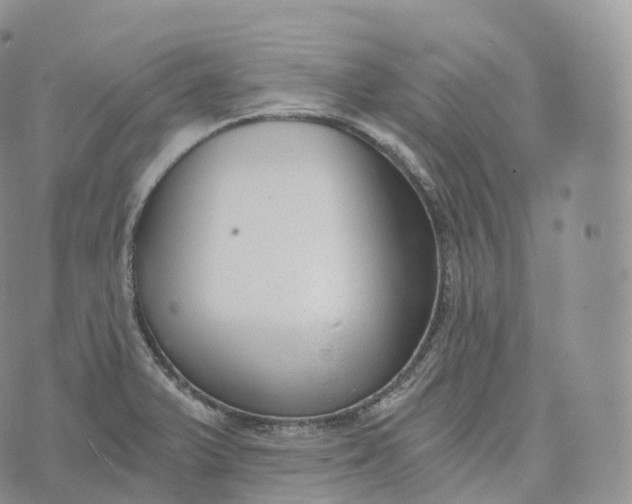 X0000072961375200608111640