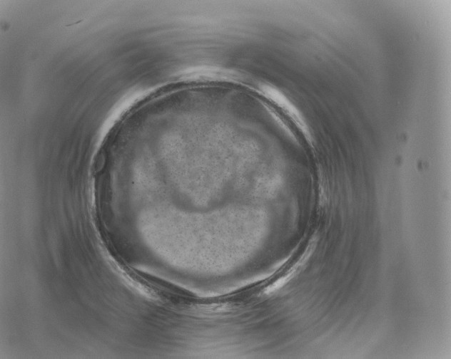 X0000072961376200608111640