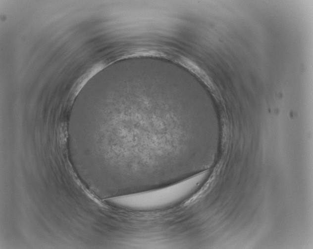 X0000072961377200608111640