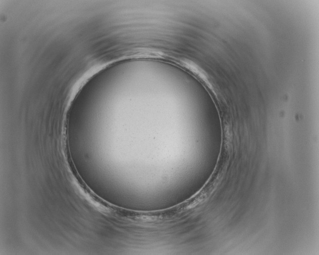 X0000072961379200608111640