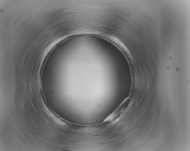 X0000072961380200608111640