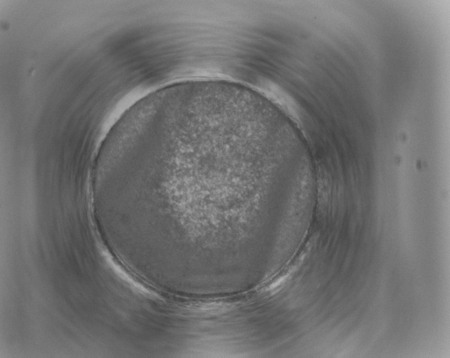 X0000072961382200608111640