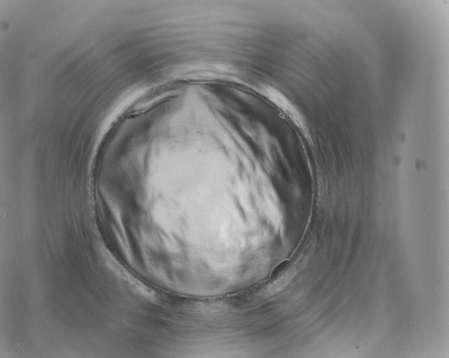 X0000072961384200608111640