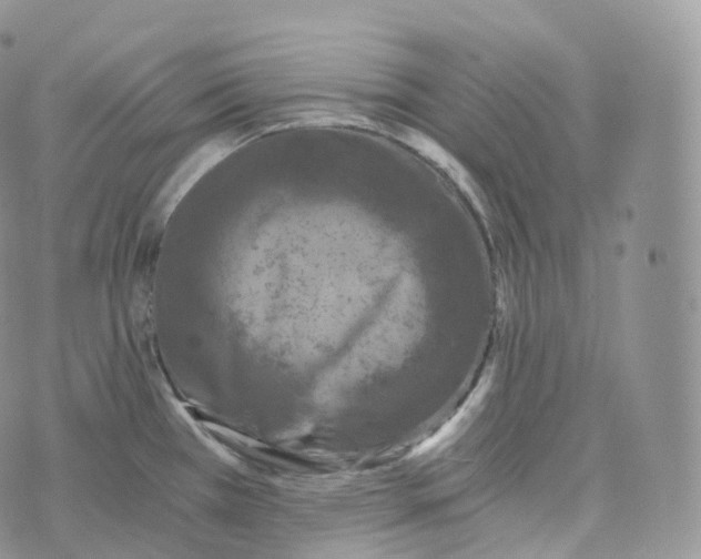 X0000072961385200608111640