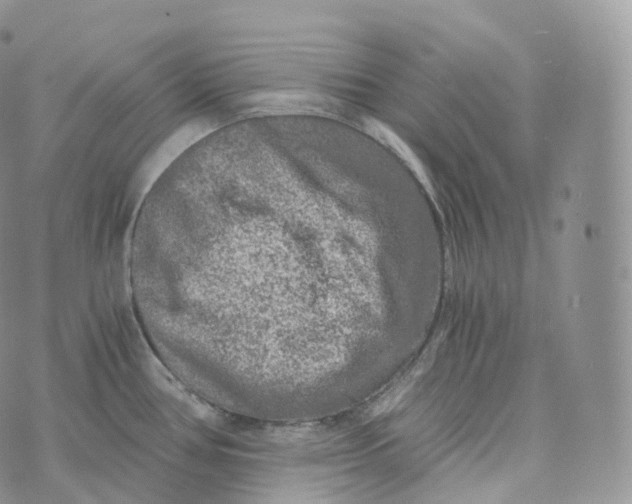 X0000072961386200608111640