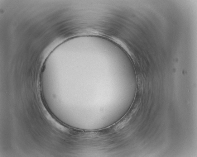 X0000072961387200608111640