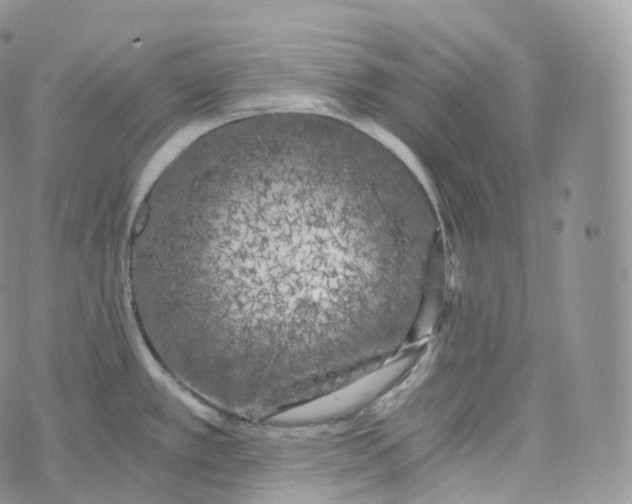 X0000072961389200608111640