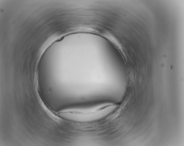 X0000072961391200608111640