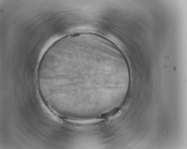 X0000072961392200608111640