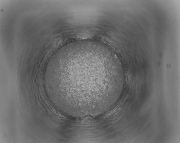 X0000072961393200608111639