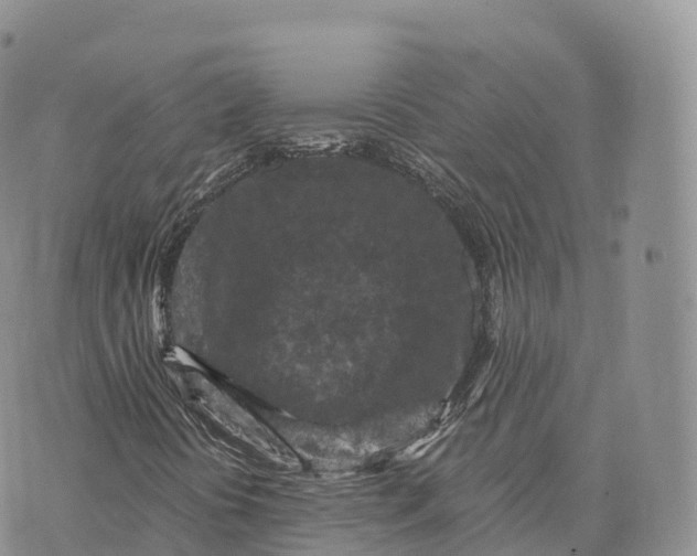 X0000072961394200608111639