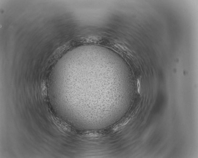 X0000072961395200608111639