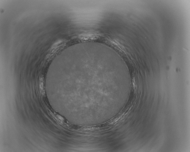 X0000072961396200608111639