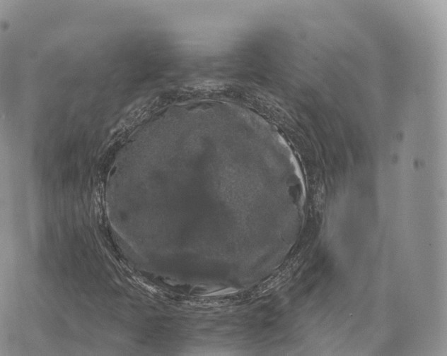 X0000072961397200608111639