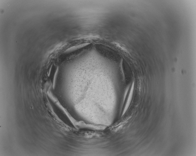 X0000072961398200608111639