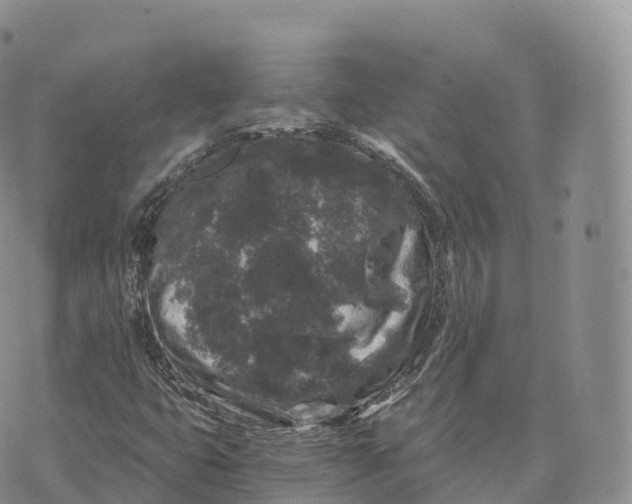 X0000072961399200608111639