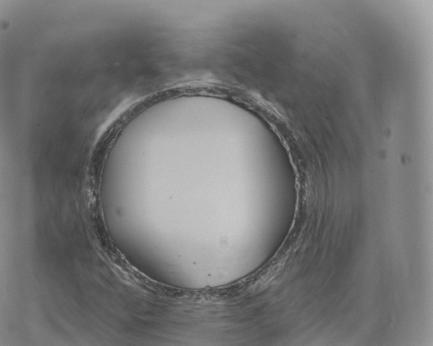 X0000072961400200608111639