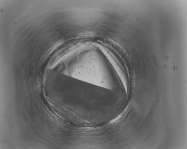 X0000072961401200608111639