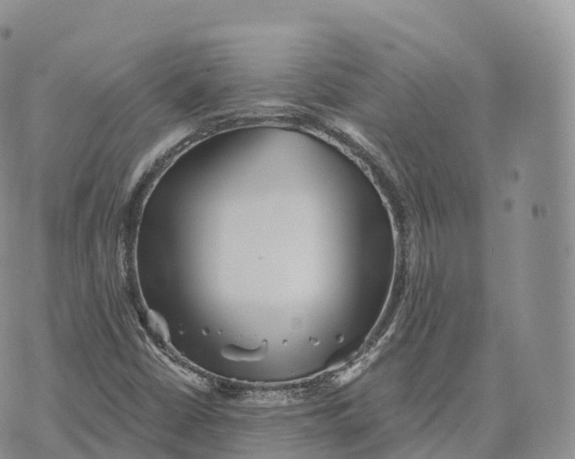 X0000072961402200608111639