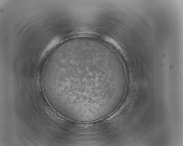 X0000072961403200608111639