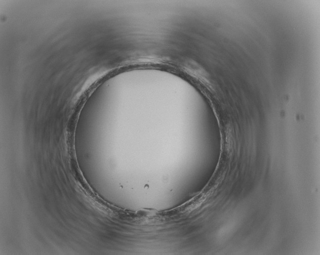 X0000072961404200608111639