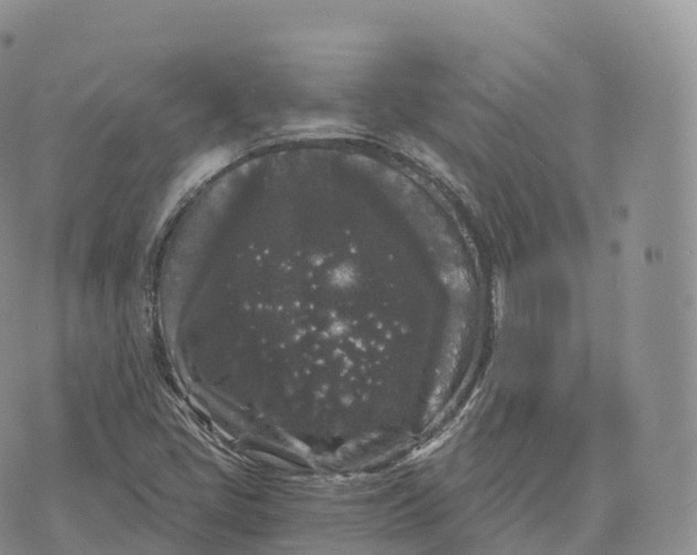 X0000072961405200608111639