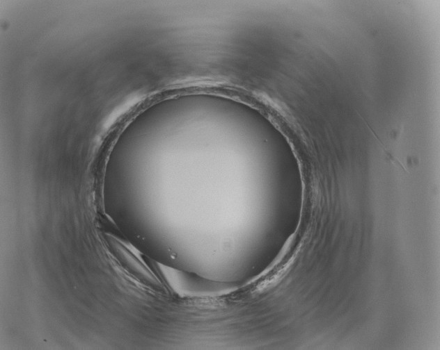 X0000072961406200608111639