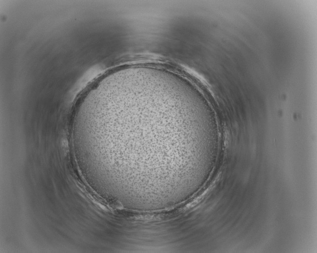 X0000072961407200608111639