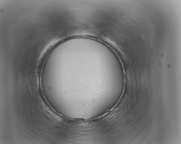 X0000072961408200608111639