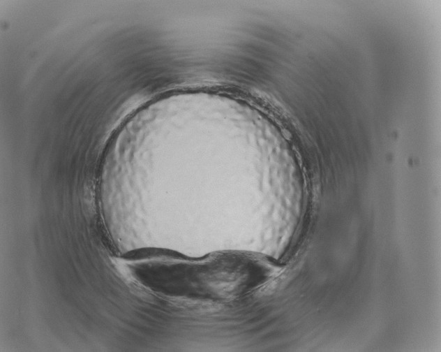 X0000072961409200608111639