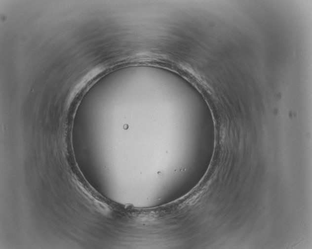 X0000072961410200608111639