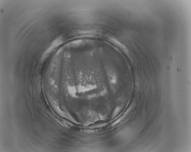 X0000072961411200608111639