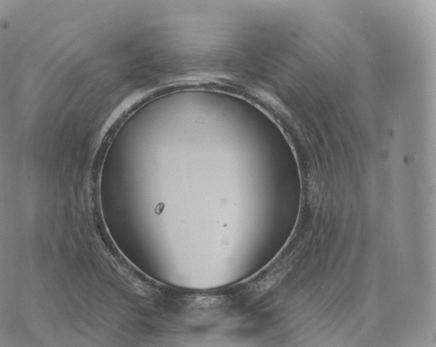 X0000072961412200608111639