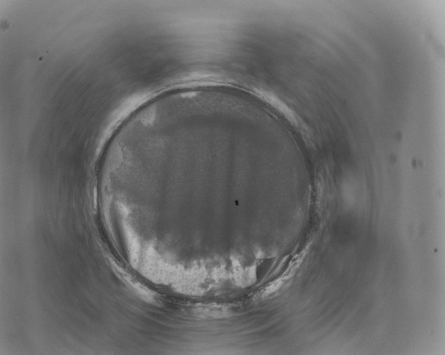 X0000072961413200608111639