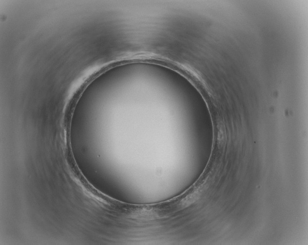 X0000072961414200608111639