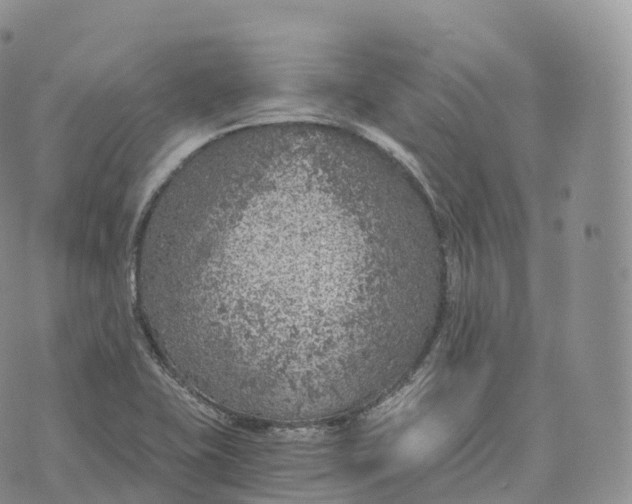 X0000072961415200608111639