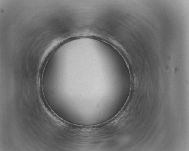 X0000072961416200608111639