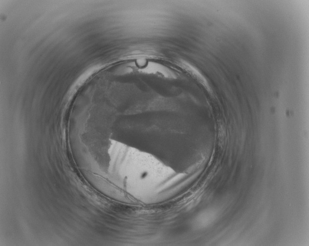 X0000072961419200608111639